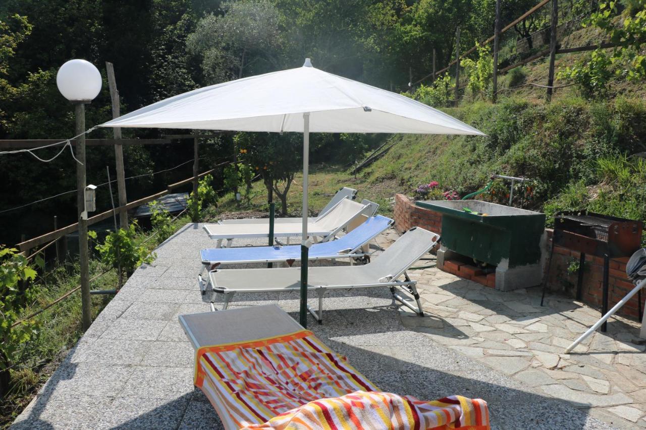 Villa Maremonti - Con 3 Piscine セストリ・レヴァンテ エクステリア 写真